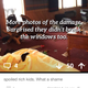 Illustration for article titled Six Michigan Frats and Sororities Suspended for Trashing Ski Lodges
